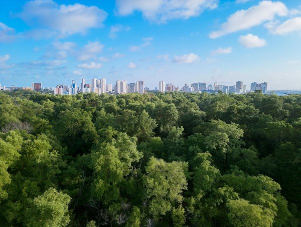 Devenez un Expert du Jeu Éducatif : Les Clés du Succès pour Créateurs Ambitieux